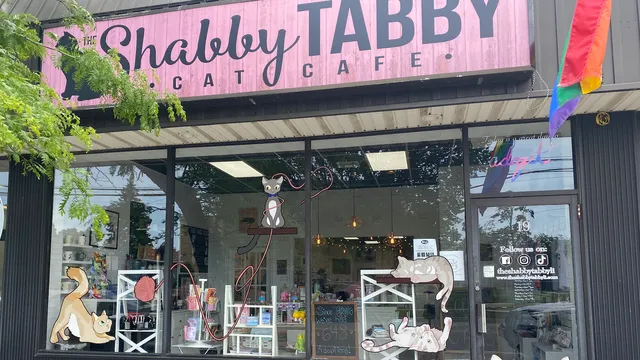 The Shabby Tabby Cat Cafe & Kitten Lounge