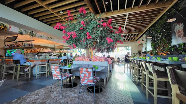 Juniper - Greenville