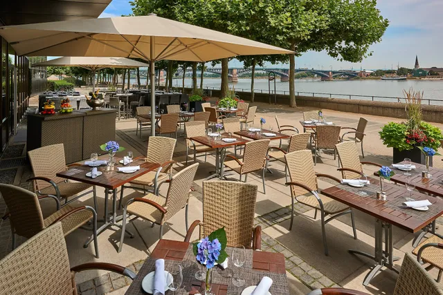 VINEUS Restaurant & Wine Bar