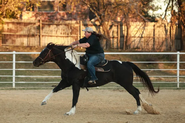 Coyote Creek Stables