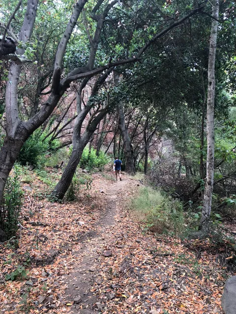 San Ysidro Trailhead