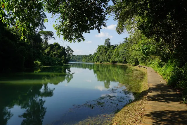 Macritchie Reservoir