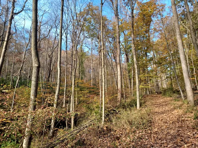 Huntington Museum of Art Nature Trail