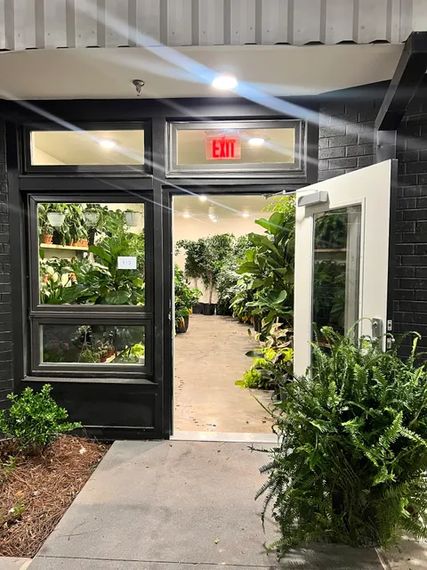 Tropical Express Atl - (Indoor Houseplant Boutique, Plant Rentals, Large Order Customized Plant Gifting and Plant Workshops)