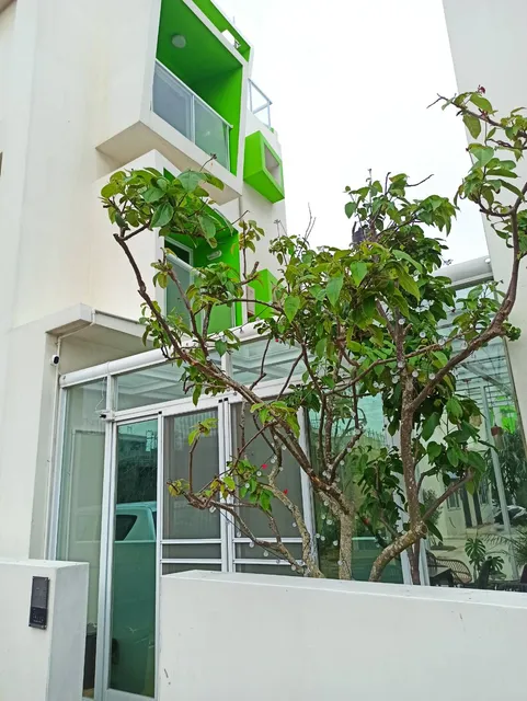 晴鎖港灣Home stay民宿