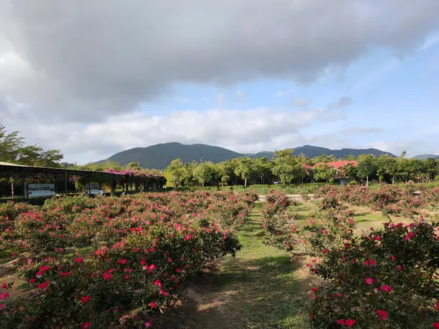 Yuanfang Banmu Huatian Boutique Hotel