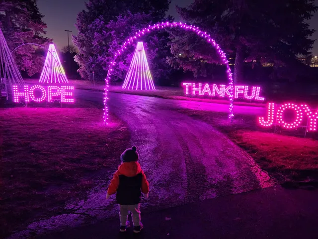 Winter Lights at Central Park