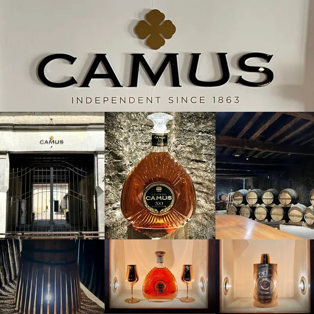 Camus Workshop