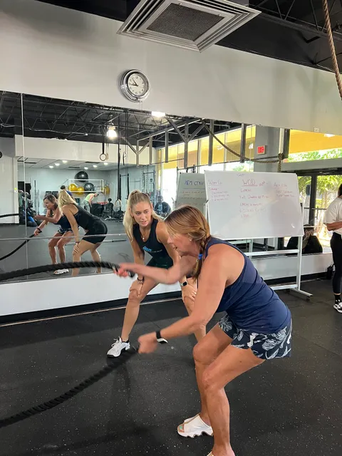 Hammerhead Gym (Cape Coral)