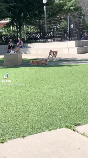 Anderson (Fred) Park