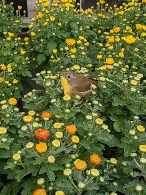Stoney Brook Farm Store & Garden Center