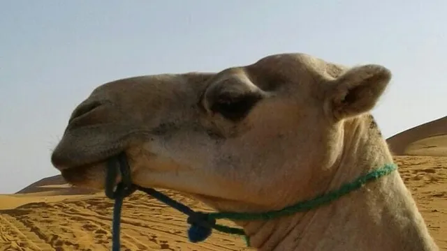 Sáhara Desert merzouga