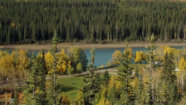 Old Entrance B 'n B Cabins & Trail Rides