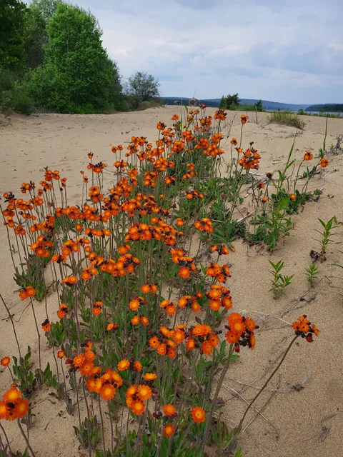 Lake Taureau Park Camping