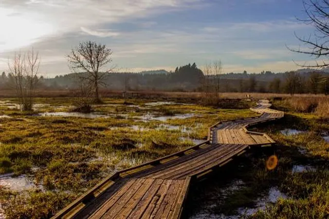 Jackson Bog State Nature Preserve