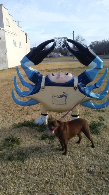 Belhaven Memorial Museum