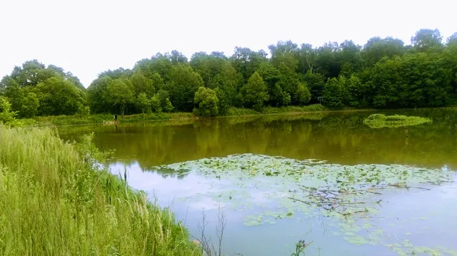 Wild Promenade Park (Zwierzyniec)