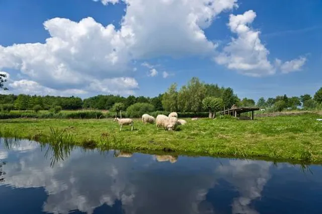 Oldenburger Wallmuseum