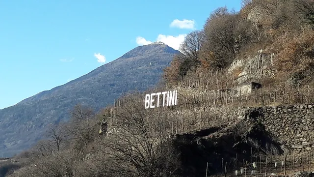 Cantine Bettini