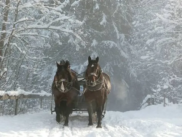 Adirondack Sleigh Rides