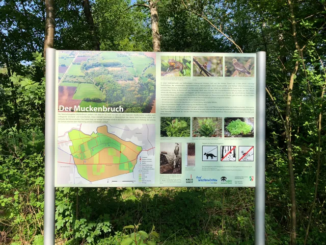 Muckenbruch