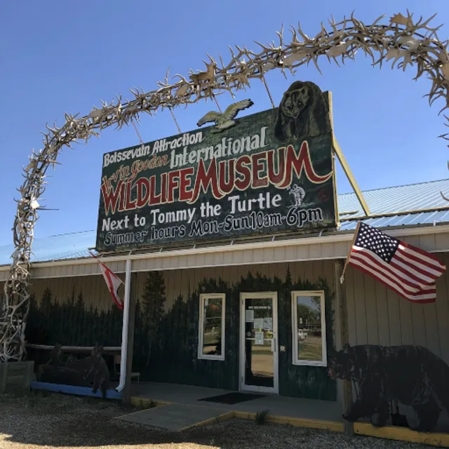 Irvin Goodon International Wildlife Museum