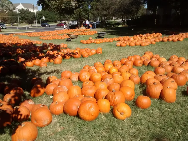 Alamo Heights United Methodist Church