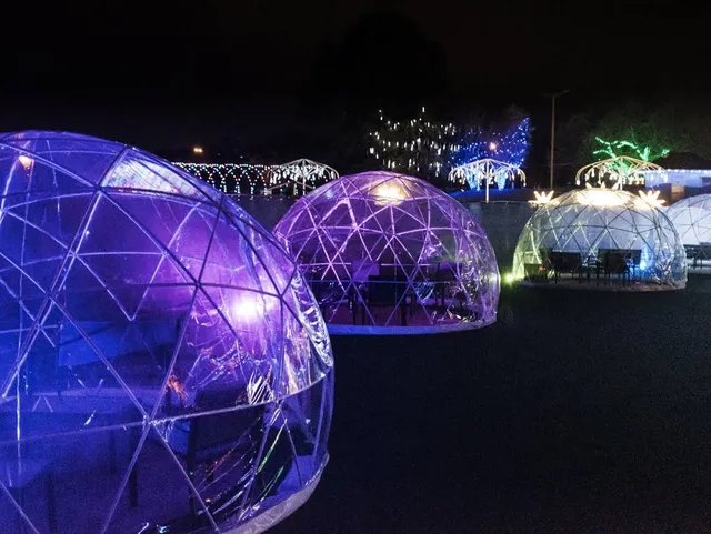 Ice & Lights: The Winter Village at Cameron Run