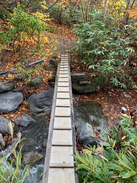Tohoku University Botanical Gardens Hakkoda Mountain Garden