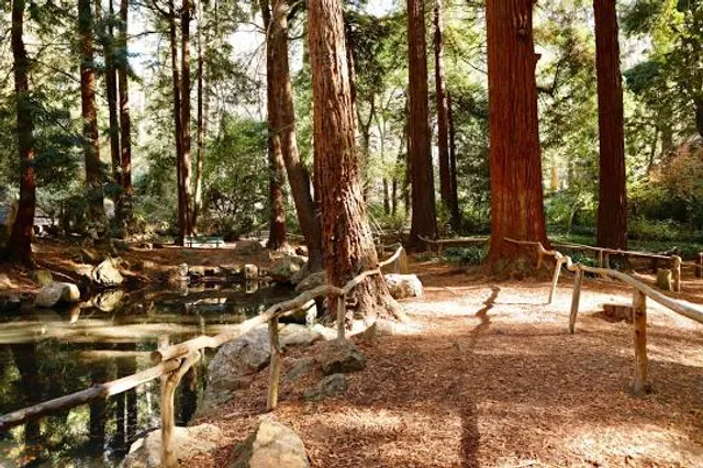 Sigmund Stern Recreation Grove