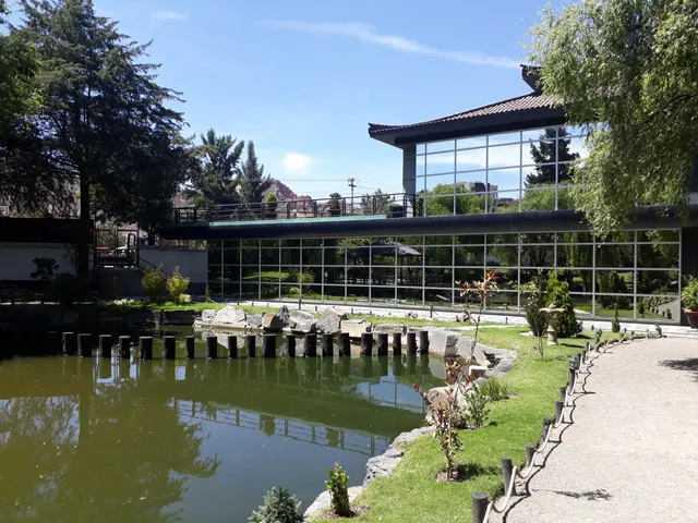 photo-1