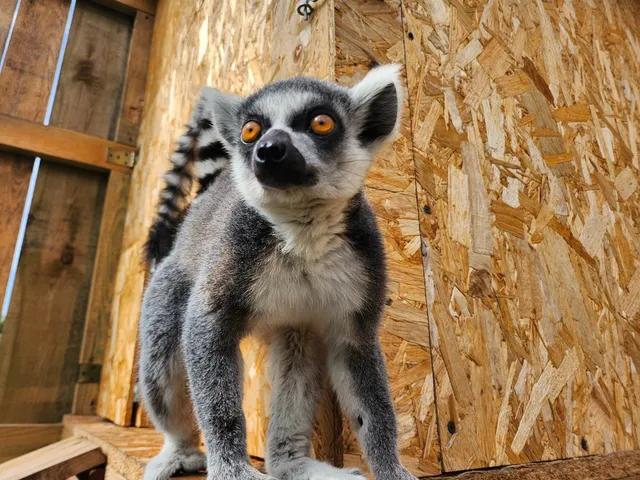 Lappyland- wioska św. Mikołaja