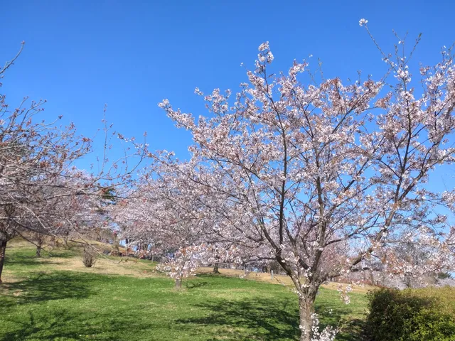 Nomishi Monomiyamaundo Park