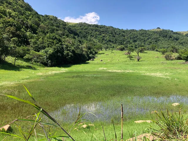 Vryheid Hill Nature Reserve