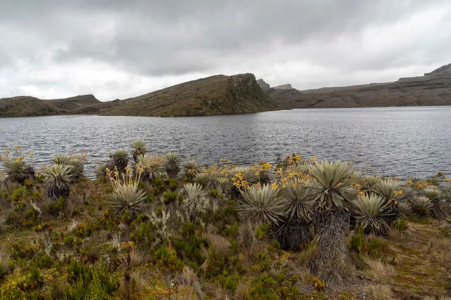 North Entrance Natural Sumapaz National Park