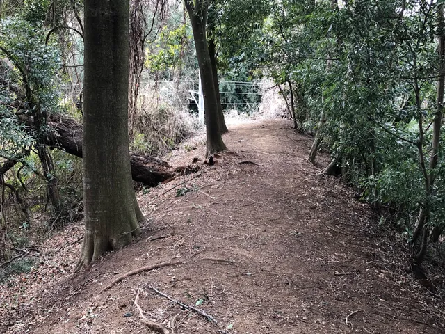 ナカクキジョウアト