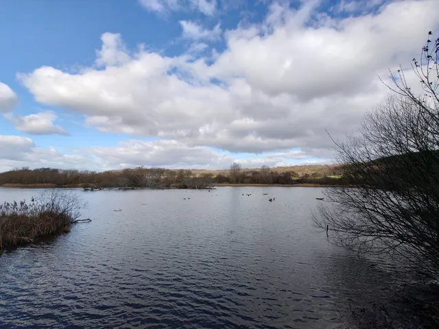 Denaby Ings Nature Reserve