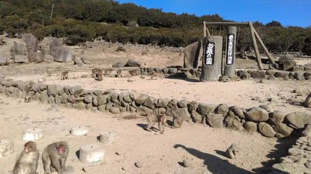Chōshi valley Monkey Kingdom Natural Zoo
