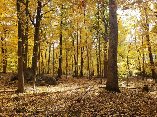 Tenafly Nature Center