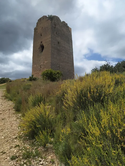Torre de Montroi
