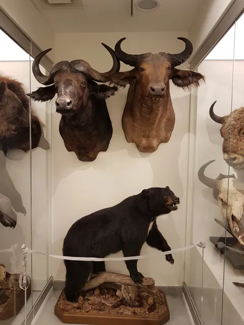 Vilnius University Zoological Museum (registration is required))