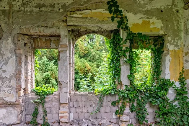 Dom-Zamok Yana Yankovskogo