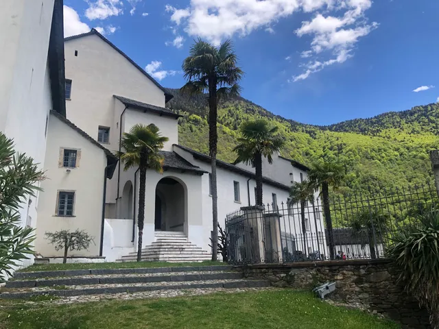 photo-1