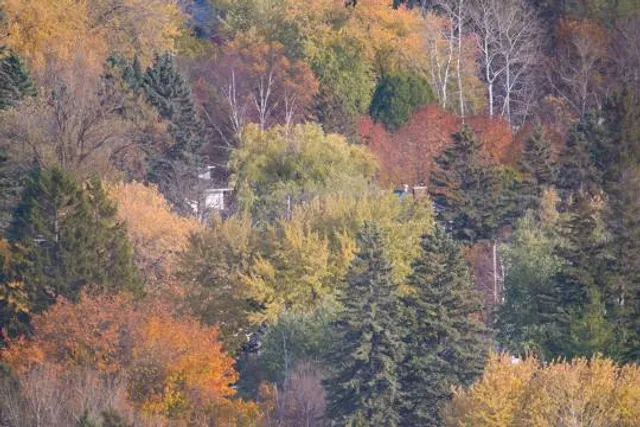 Hawk Ridge Bird Observatory