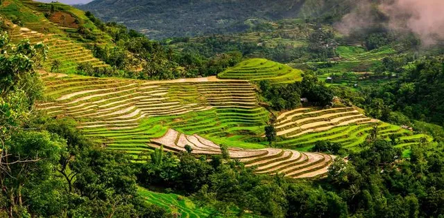 Miagao Rice Terraces
