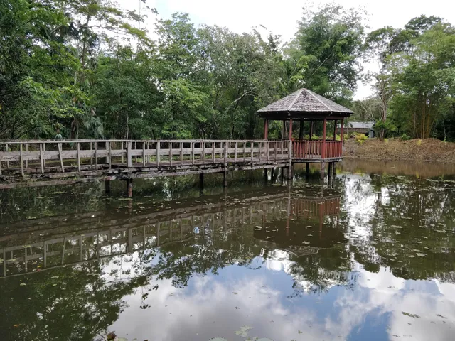 Montsinéry-Tonnegrande