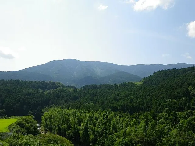 Mt. Sasayama
