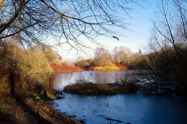 Rufford Abbey Country Park