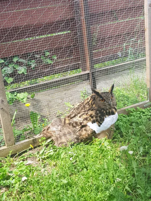 Mályi Természetvédelmi Egyesület