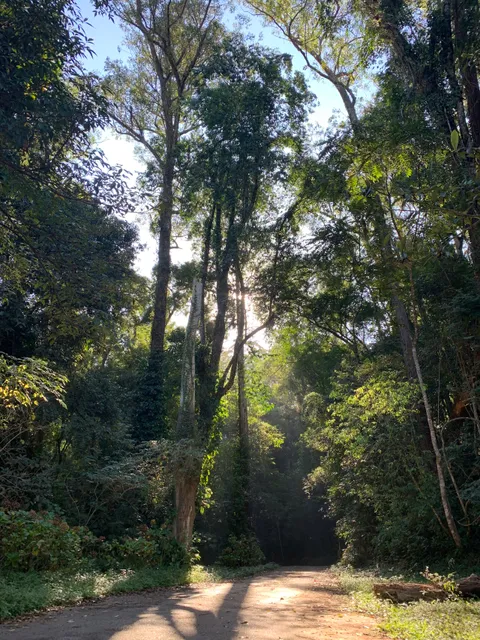 Horto Florestal de Mairinque
